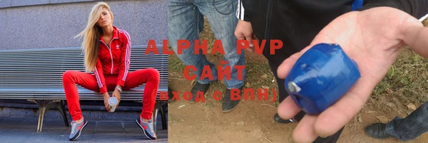 сатива Заводоуковск