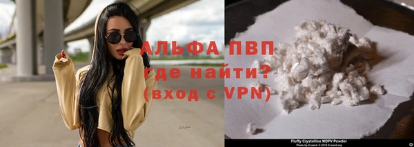 сатива Заводоуковск