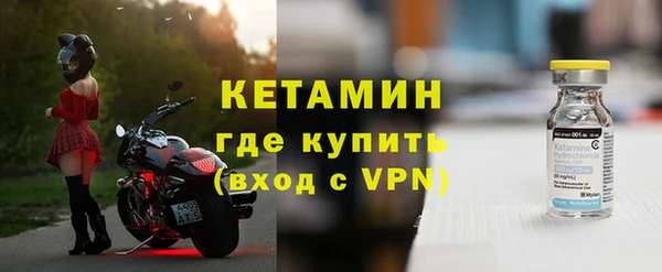 сатива Заводоуковск