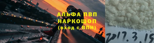 сатива Заводоуковск