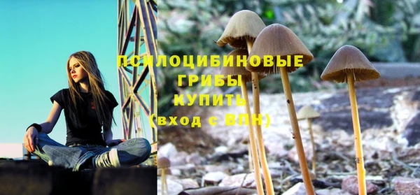2c-b Заволжск