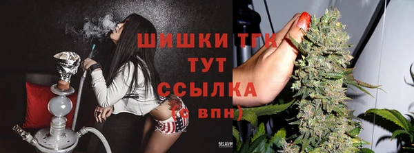 сатива Заводоуковск