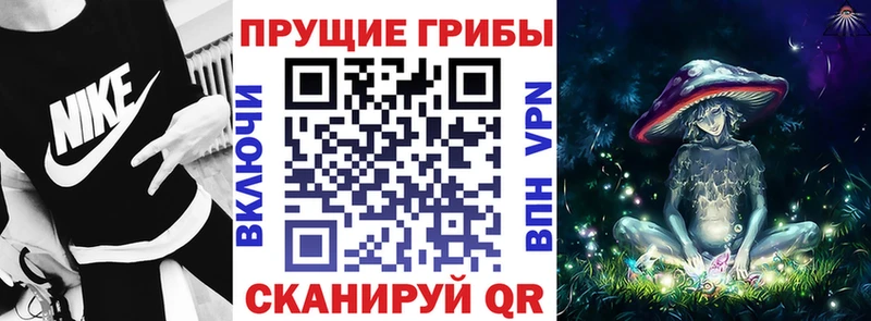 Купить закладки  Партизанск  Галлюциногенные грибы MAGIC MUSHROOMS 